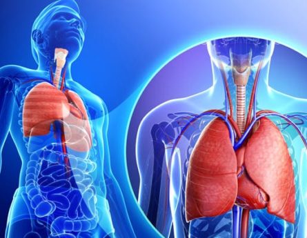 Paper-thin Pleura: 1MM of Critical Tissue