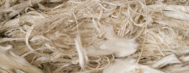 2 Prominent Asbestos-Caused Diseases: Key Differences between Asbestosis and Mesothelioma