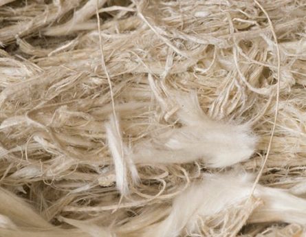 2 Prominent Asbestos-Caused Diseases: Key Differences between Asbestosis and Mesothelioma