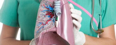 Everything You Need to Know about the Pleura & Mesothelioma