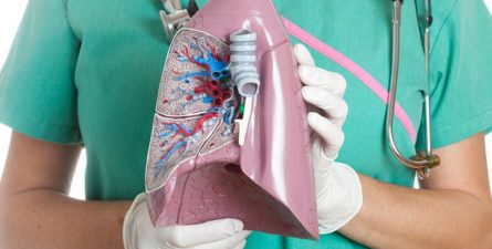 Everything You Need to Know about the Pleura & Mesothelioma