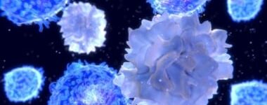 Immune System