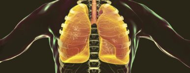 Lung diagram