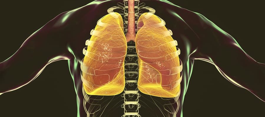 mesothelioma-warning-signs