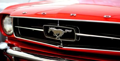 Close up of ford mustang logo