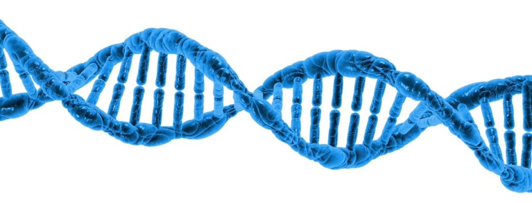 gene therapy for pleural mesothelioma