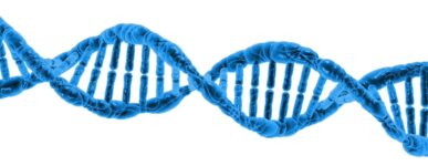 gene therapy for pleural mesothelioma