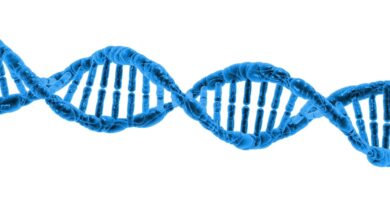 gene therapy for pleural mesothelioma