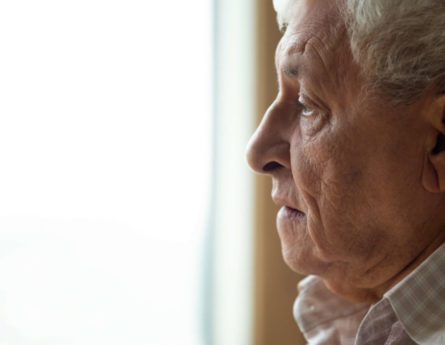 an old man stares out a window