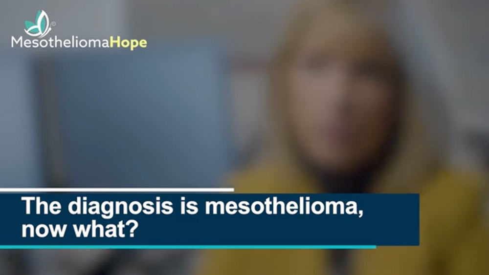 mesothelioma cell lines human