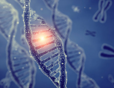 BAP1 genetic mutation mesothelioma