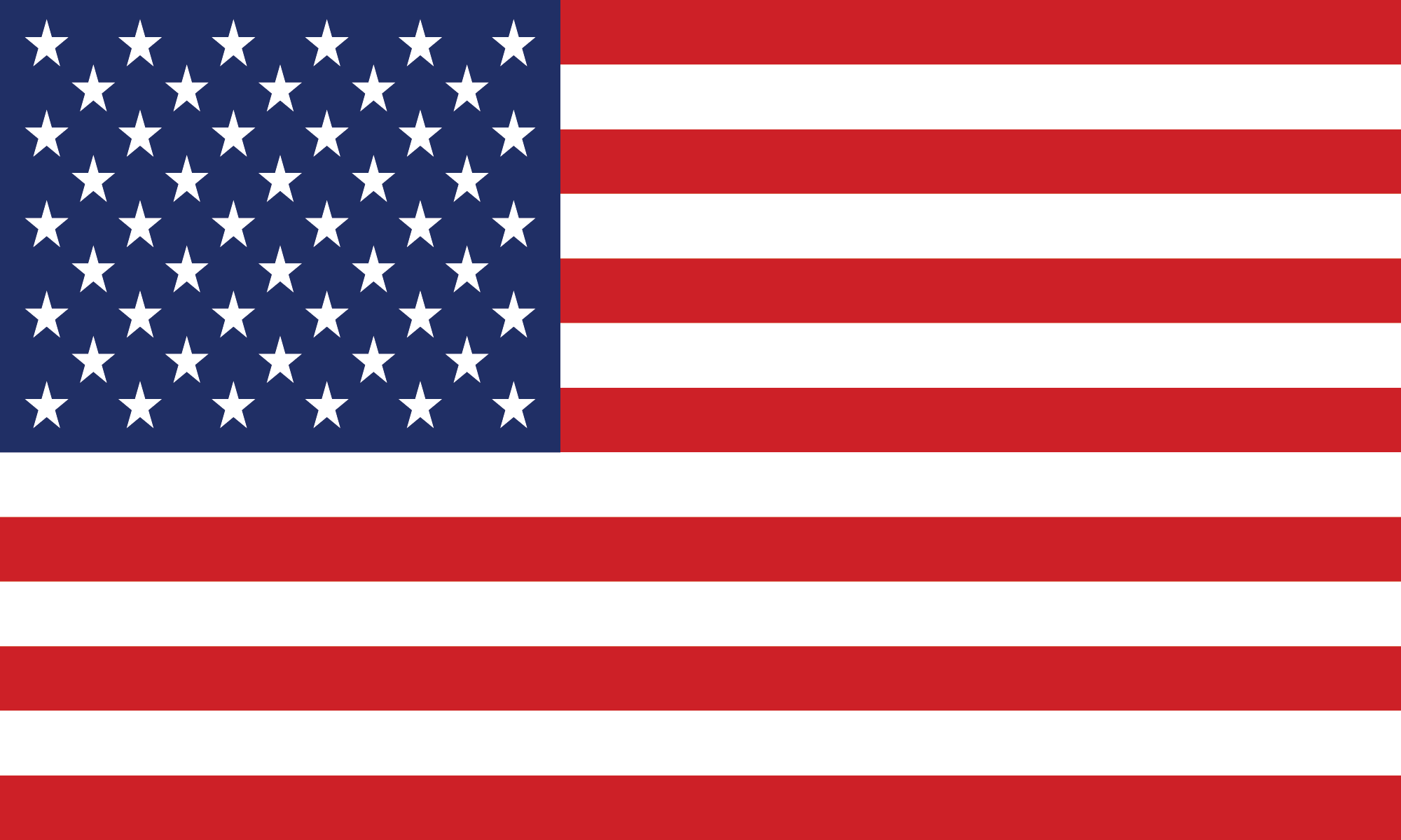USA flag american flag