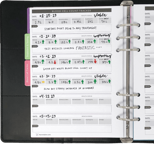 Cancer treatment planner