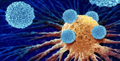 TRuC T Cells attacking mesothelioma tumor