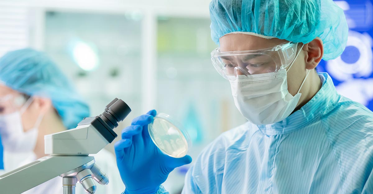 Researcher examines cancer organoids