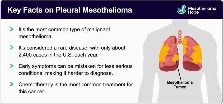 List of key facts on pleural mesothelioma (including its rarity, symptoms, and treatments) that features an illustrated highlight of where a mesothelioma tumor might present in a patient's body.